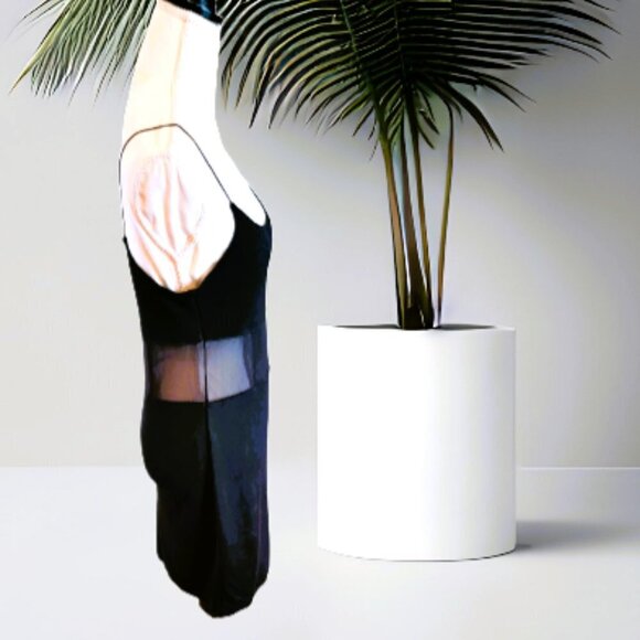 Divided Black Spaghetti Strap Mesh Mid-Section Evening Dress in Size Medium - Picture 2 of 5